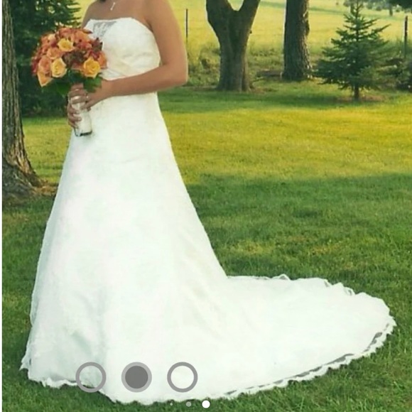 David’s Bridal Wedding Dress Size 18W Solid Ivory Lace Beaded Strapless 9T9211 - Picture 16 of 16